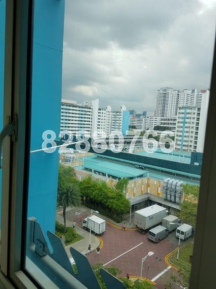 Blk 30 Bendemeer Road (Kallang/Whampoa), HDB 3 Rooms #173235462
